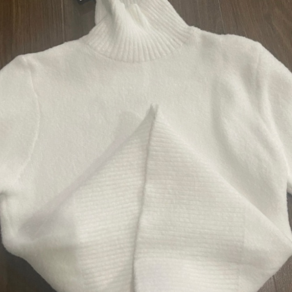 Zara Fuzzy Turtleneck Sweater